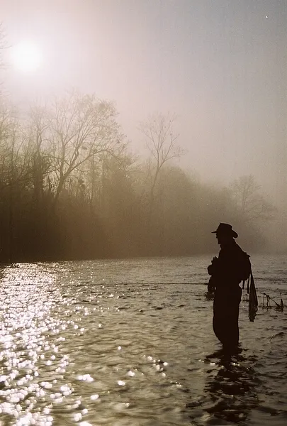 User submitted picture: Misty Morning tailwater