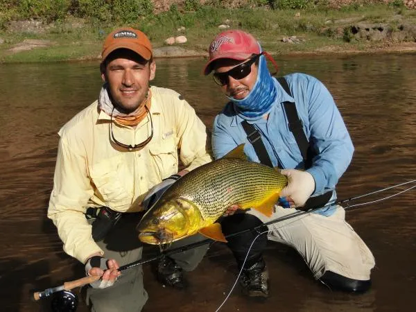 User submitted picture: Golden Dorado fish on bea...