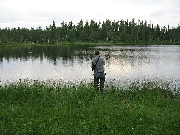 User submitted picture: Dryflyfishing char in Nor...