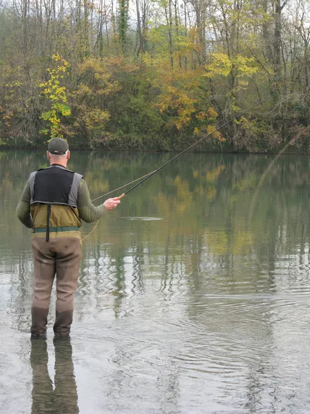User submitted picture:  autumn grayling fishing ...