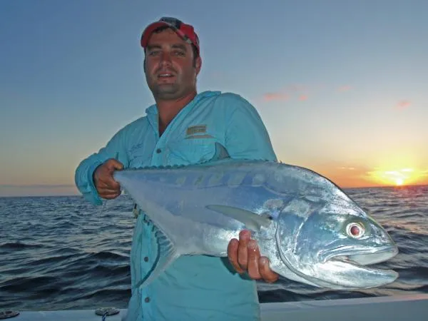 User submitted picture: Queenfish at Sunset off B...