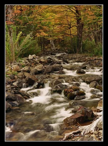 User submitted picture: Arroyo Partido, San MartÃ­...