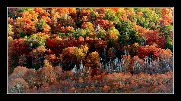 User submitted picture: AutumÂ´s colours,San MartÃ­...