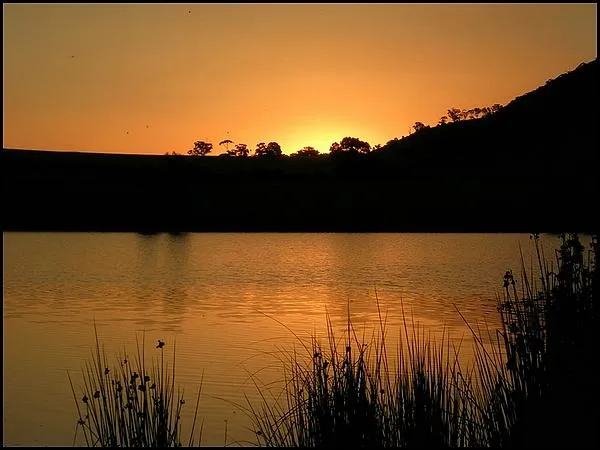 User submitted picture: A small private fishery w...