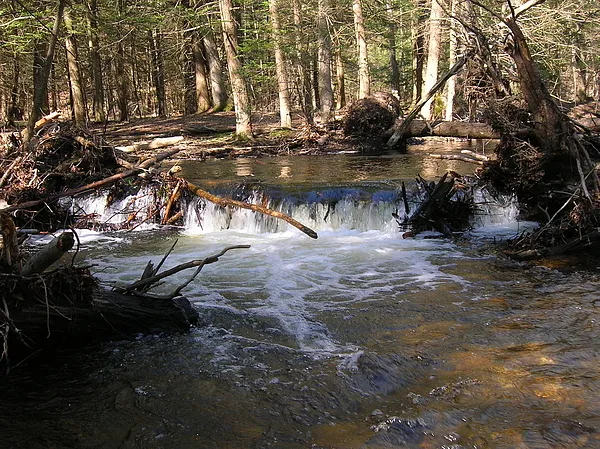 User submitted picture: Spring time on a small st...