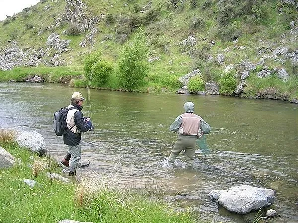 User submitted picture: Like it or hate it - indi...