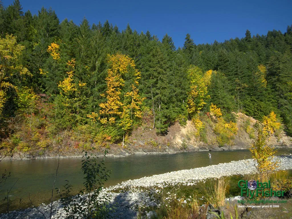 Computer screen wallpaper: Fall fishing on the Vedder in BC.